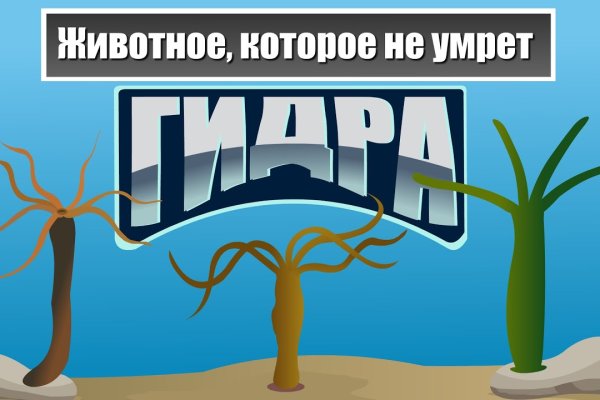 Ссылка кракен официальная тор