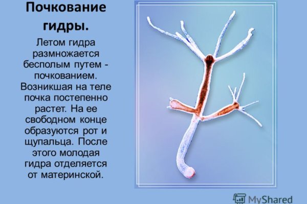 Сайт кракен онион