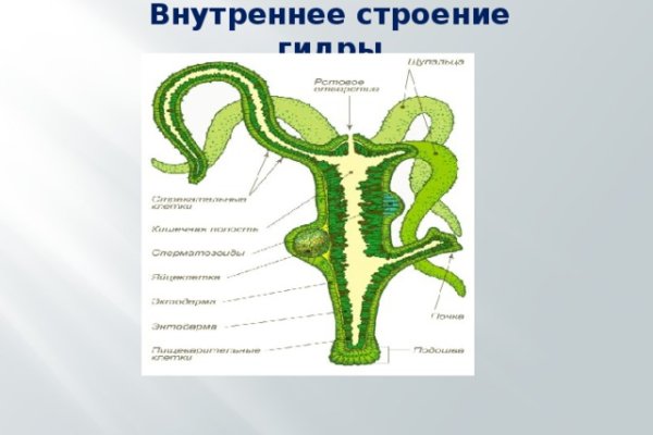 Кракен маркет даркнет скачать