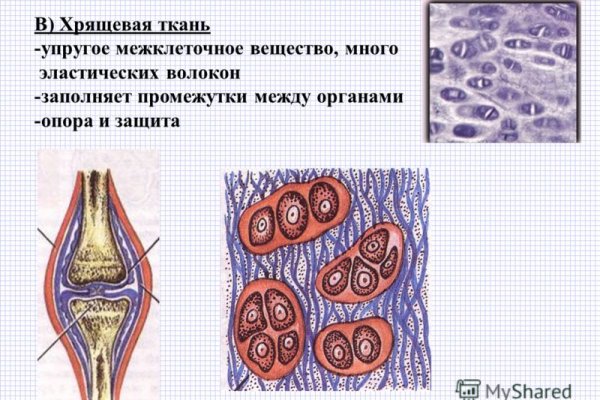 Кракен как попасть